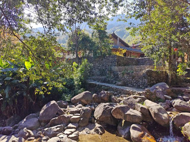 郁郁银杏无非般若，青青溪石尽是法身：宜春南惹古村印象（聂朋