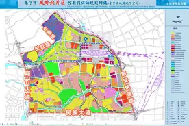 凤岭北|我是谁？我在哪？图片