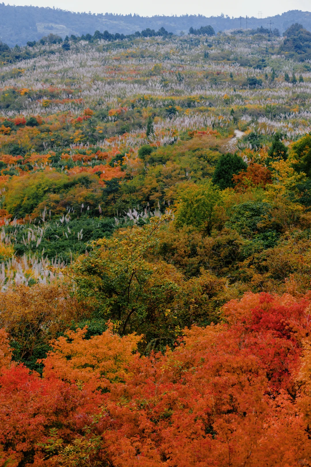 超美超震撼！舍不得公开的徒步秘境N0.1，就在成都金堂！
