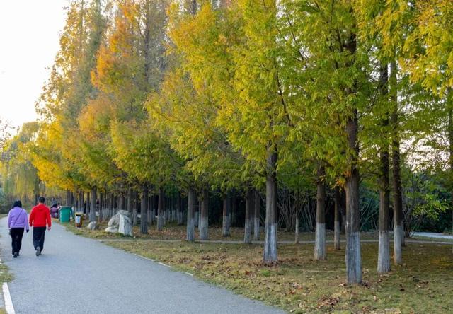 藏在乳山各处的温柔｜这些公园，让心情慢下来