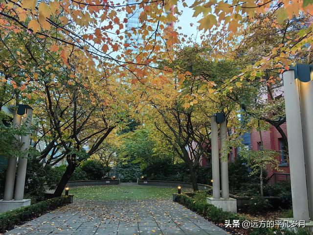 温哥华游记（一）