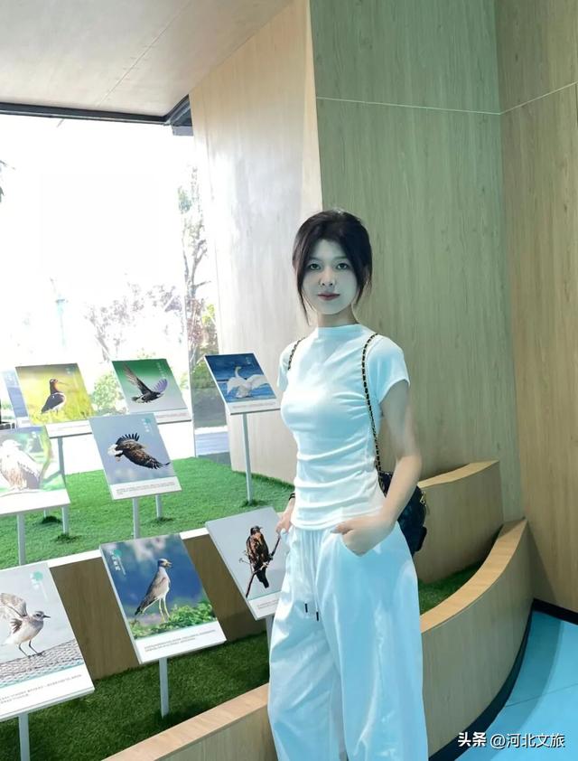 漫游唐山 | 曹妃甸城市馆打卡攻略