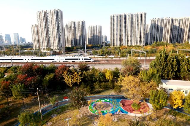 丰台的公园又双叒叕上新啦!