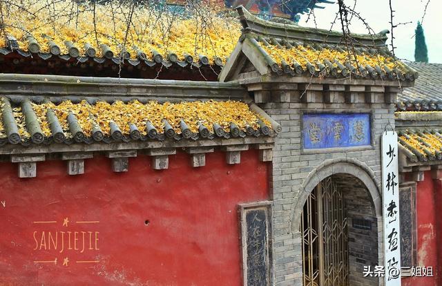冬日少林寺 寂寞禅静能否