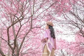 不愧是武汉市花！武汉这些赏梅地“梅”不胜收图片