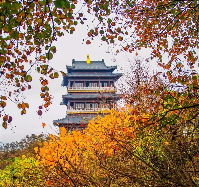 感恩有您，师恩如光 | 临沂景区教师节专属福利来啦