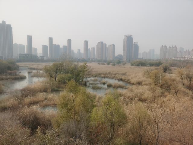 哈尔滨湿地秋色就浓缩在这个公园里