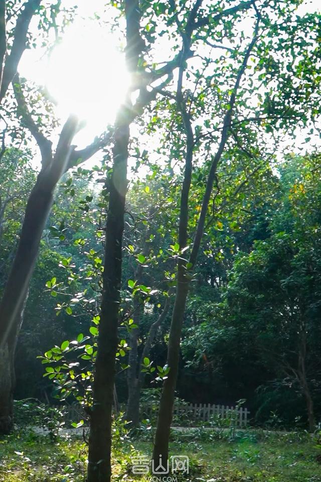 珠海5000年沙丘遗址秘境，免费开放！