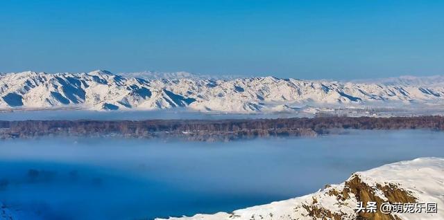 新疆雪山之巅俯瞰，云海翻滚如仙境，当地人说出惊人秘密