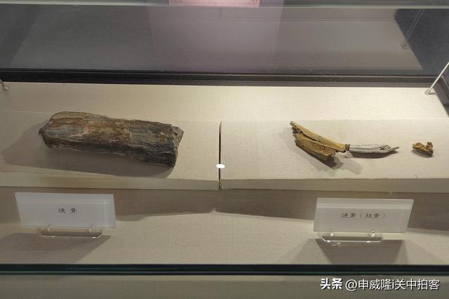 芮城县：参观西侯度遗址