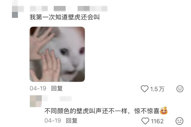 阻止我去巴厘岛旅游的唯一理由: