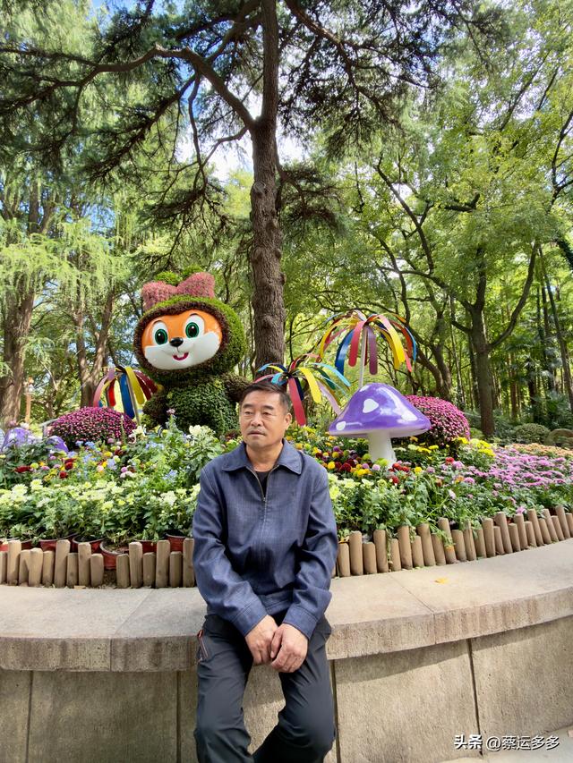 重阳节，上海赏秋之美