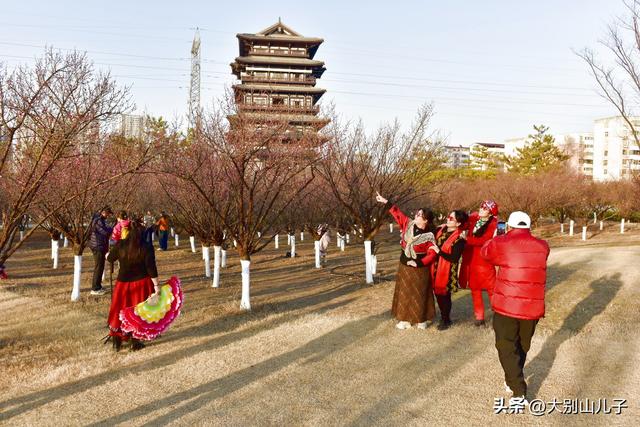 千金梅岭：红梅绽放喜迎元旦