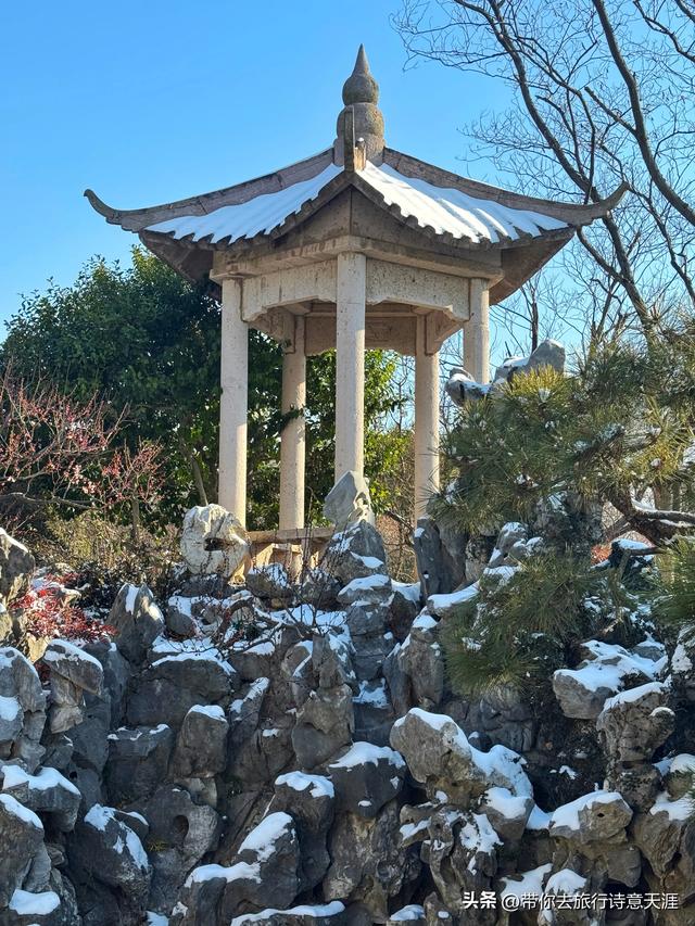 南京2026年第一场雪，梅花山、琵琶湖雪景