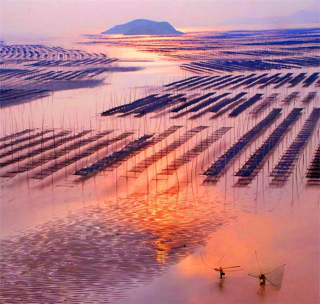这是油画还是实景？太美太美啦！！