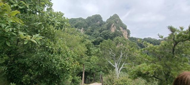 王顺山观景台风光