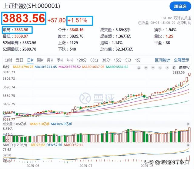 下一个重要机会