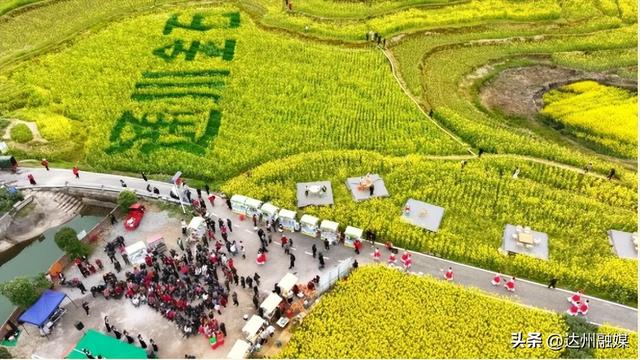 花海赴春光，金浪满通川！金石梯田万亩油菜花海邀你共赴春约
