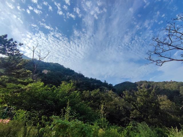 泰山东御道，从景区入口到检票口沿路风景