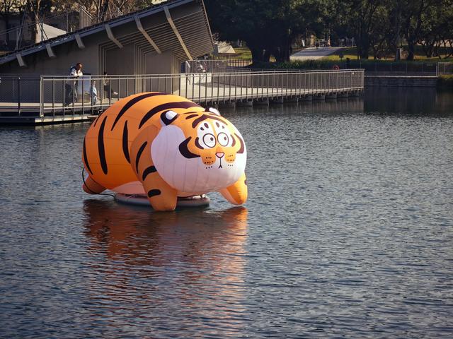 西丽湖绿道骑行随拍