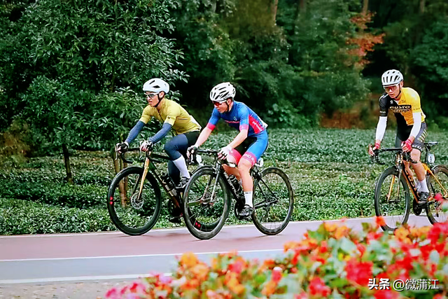 “骑”遇惊喜，快来成都蒲江“醉氧”绿道，开启你的追风之旅！