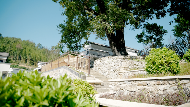 好消息！肇庆多个新晋打卡地集中开业！