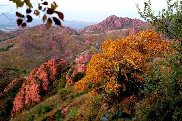 点击解锁红山国家森林公园的秋日“童话世界”→