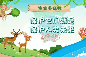 小山小水说“环保”系列科普动画之《生物多样性：保护它们就是保护人类未来》图片
