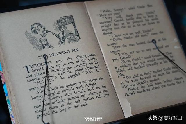 星期五，盐田上新啦 | 来离海最近的美术馆品茶吧
