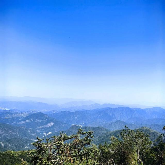 到老了才发现：不管有钱没钱，子女孝不孝，人老了就是痛苦的开始