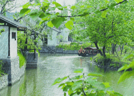 初秋雨中的景让人朦胧迷离，丝丝凉意掠过心田，别样滋味涌上心头