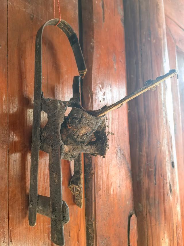 藏在屋里的尔玛博物馆