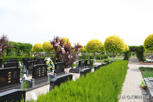 实地探访中华永久陵园：环境绿化与园区设施全解析