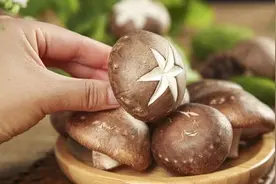 香菇千万不要用清水洗，等于吃泥土，教你正确做法，脏东西全跑光图片