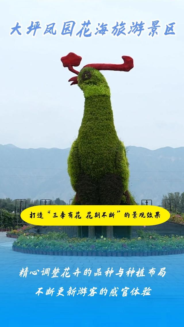 在白银邂逅黄河之美！荷塘寻幽、花海打卡、露营观星，这份文旅攻略请收好