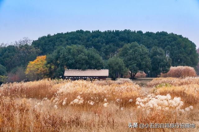 良渚古城一日游攻略｜穿越 5000 年文明，高效打卡世界遗产