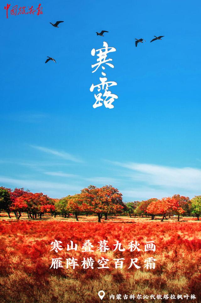 寒露｜假期收官 秋色正酣 奔赴下一场诗与远方