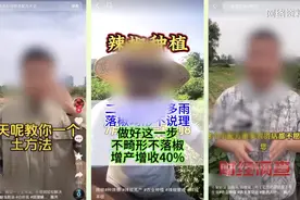 短视频平台上大把“农技专家”免费指导？承认了！全是演的！网友怒了：没有良心图片