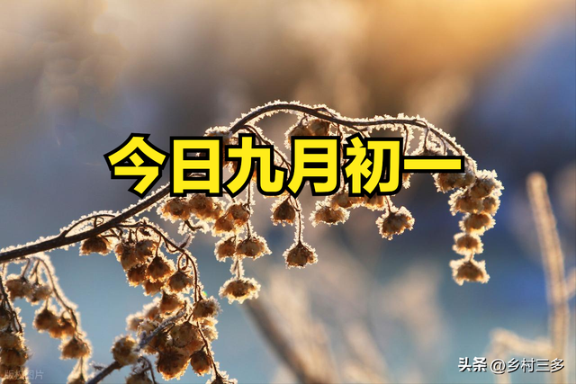 不是迷信！今日九月初一	，最不能做的4件事，别忘了告诉家人！