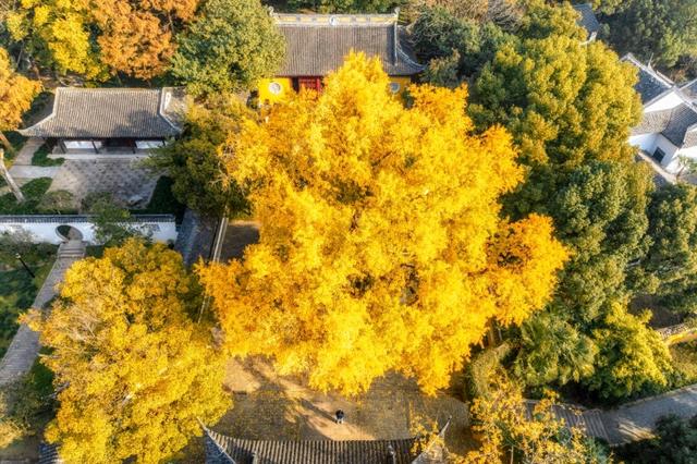 从百年古刹到水上森林：解锁上方山秋冬宝藏打卡地