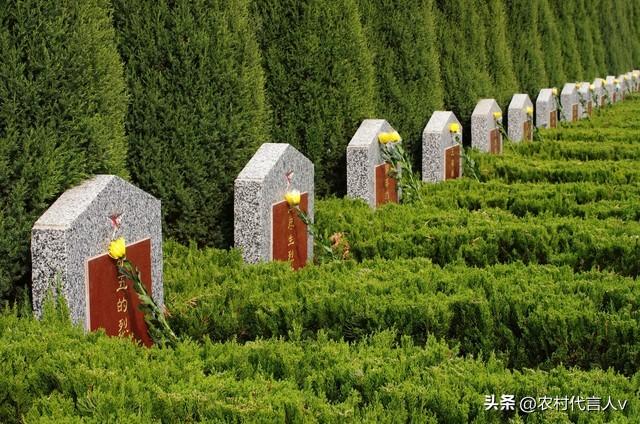 不是迷信！寒衣节上坟有讲究	，记得:1不烧	、2不照、3不捡、4不空