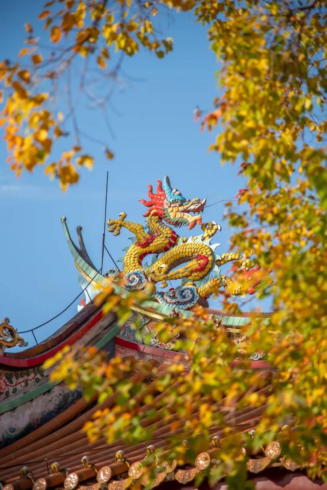 我们把台儿庄古城的秋天“晒”满了朋友圈，温柔了整座古城的初冬