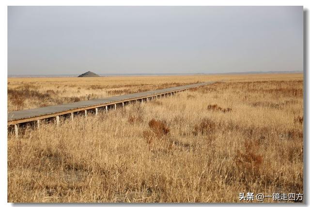 深秋时节，走进长春农安的波罗湖湿地