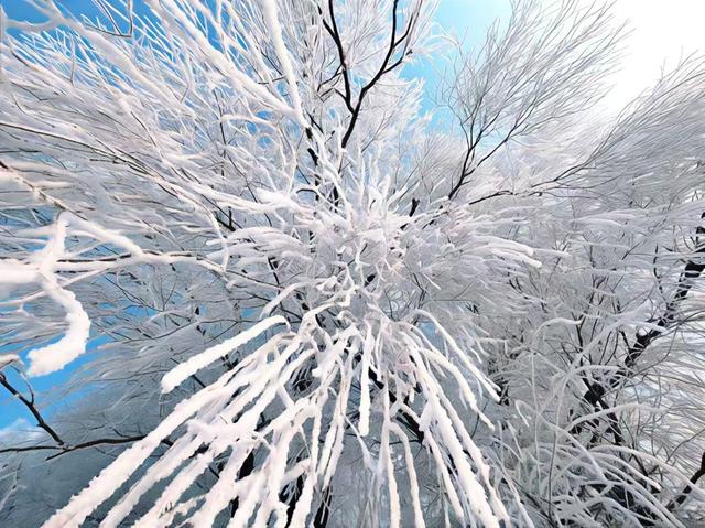 邂逅绝美雪景，开启冬日浪漫