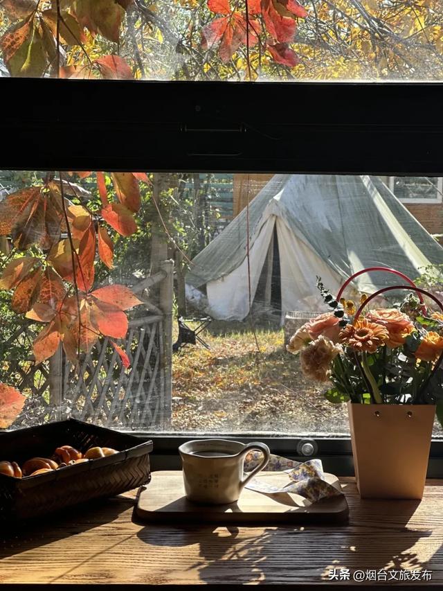 【乐游烟台】周末好去处丨太超前!这些室内打卡地能玩一整天