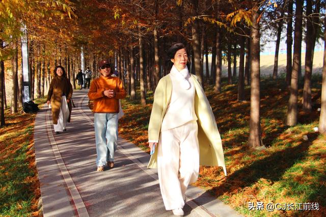 河南淮滨：落羽杉红了，美女们来啦！