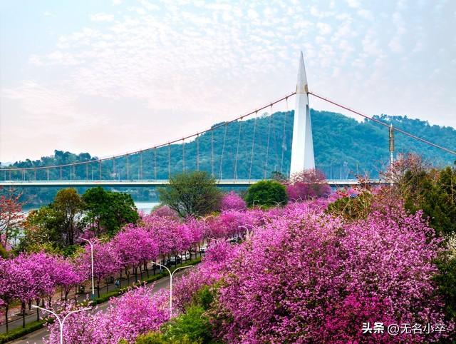 去了广西柳州旅行后，说句实话，这五个地方非常值得去打卡