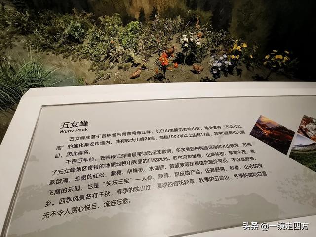 通化市自然博物馆