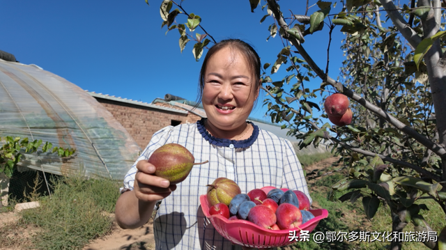 这就是杭锦旗“非来不可”的理由！