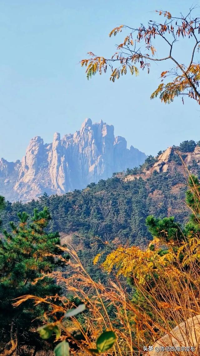 西海岸申请成为你的壁纸！🤩